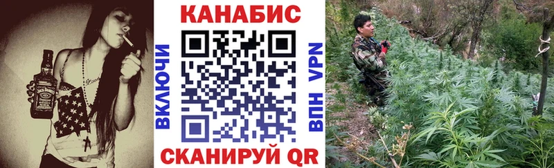 Шишки марихуана Amnesia  Купить  Гаджиево 